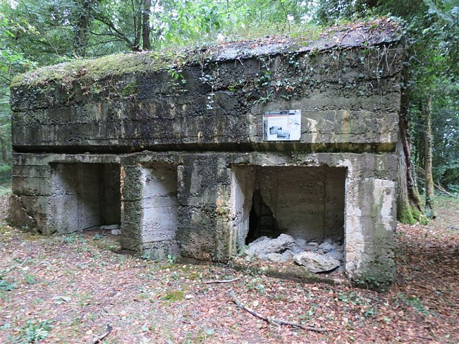 Wandern: Der Bunkerpfad