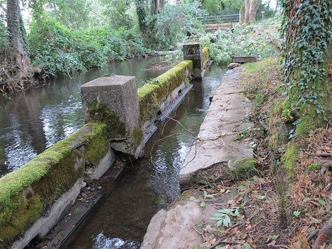 Sentier des Bunkers