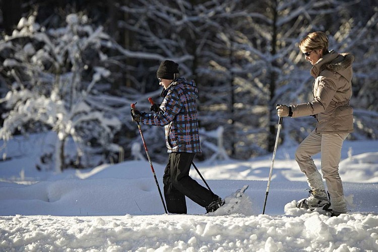 Schneeschuh Wanderparcours CDF01 : Am Champ du Feu
