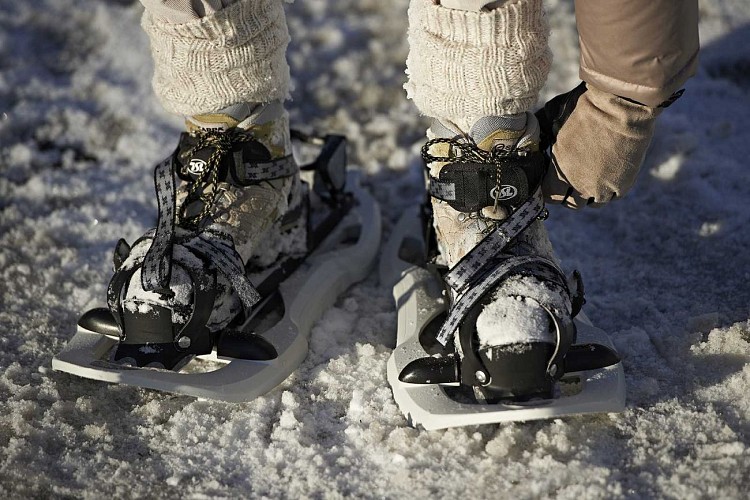Schneeschuh Wanderparcours CDF01 : Am Champ du Feu