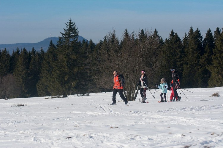 Sentier raquettes CDF01 : Le tour du Champ du Feu