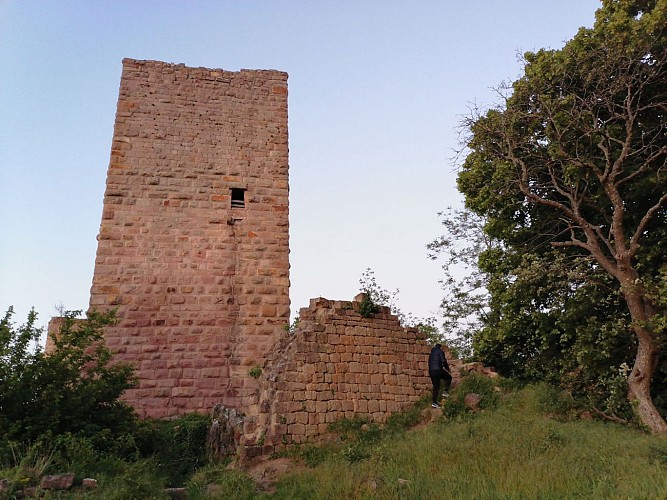 Rundreise Weinberge und Schlösser