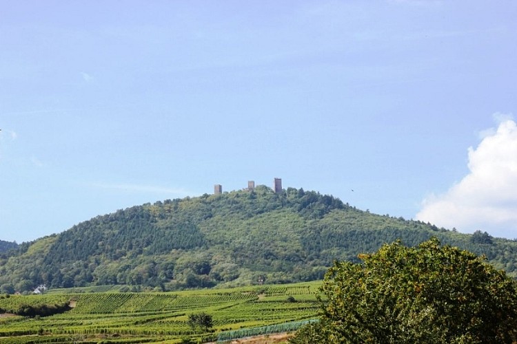 Rundreise Weinberge und Schlösser