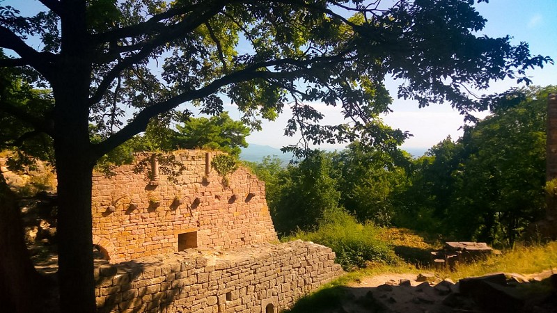 Rundreise Weinberge und Schlösser