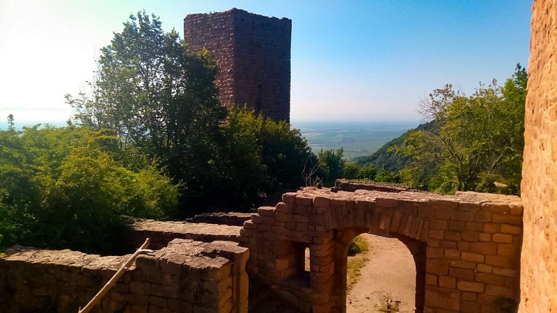 Rundreise Weinberge und Schlösser