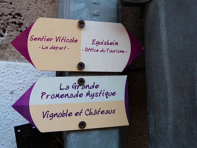 Circuit Vignoble et Châteaux