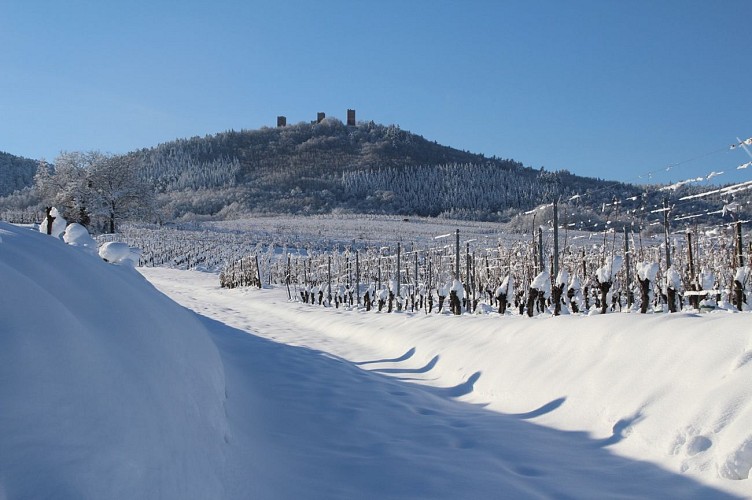 Circuit Vignoble et Châteaux