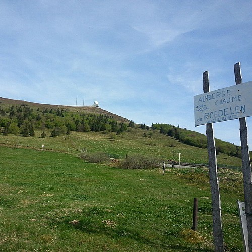 Randonnée sur les flancs du Grand Ballon