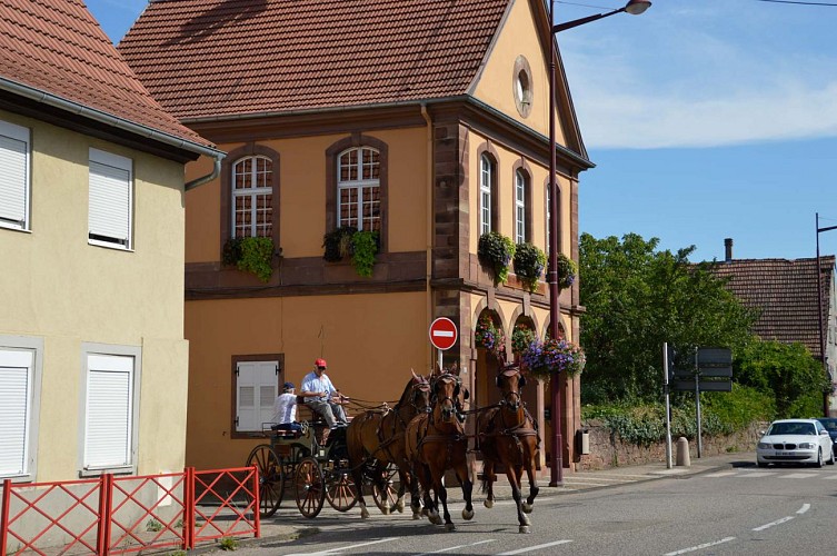 Randonnée au fil des 5 villages riche en traditions, Gundershoffen, Alsace