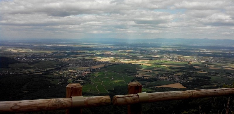 Vue sur la plaine d'ALsace et ses paysages