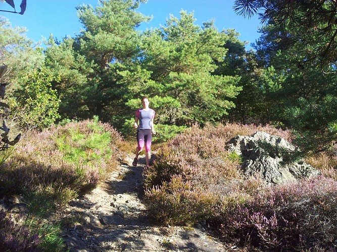 Hiking or trail circuit - between sandstone and granite