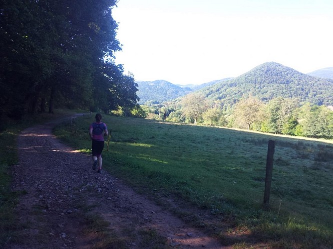 Circuit de randonnée ou de trail - entre grès et granit