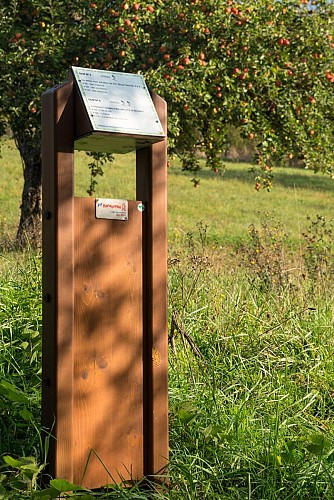 Sentier Colline du Scheuerberg