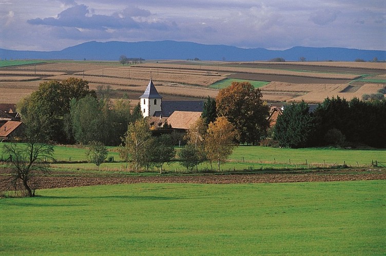 Sentier Colline du Scheuerberg