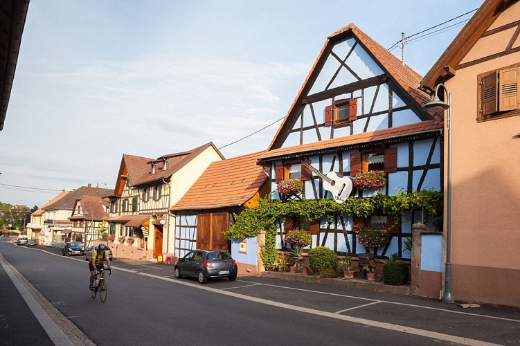 Sentier des saveurs à Mittelhausen