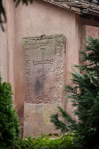 Sentier des saveurs à Mittelhausen