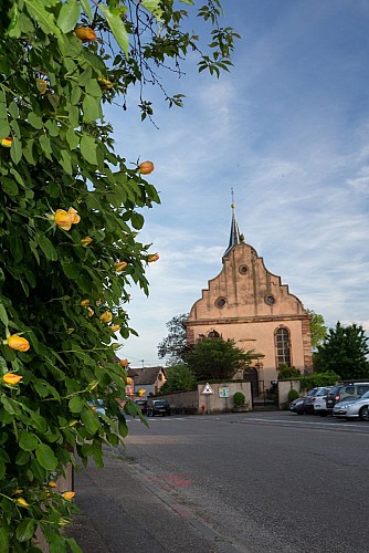 Sentier des saveurs à Mittelhausen