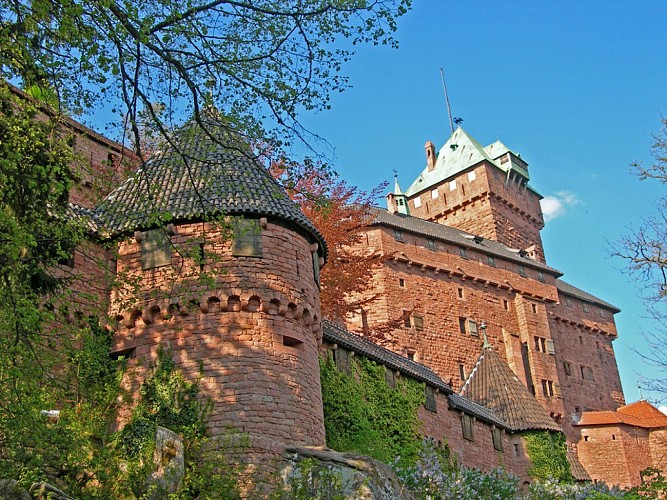 BL362 - A la conquête du Haut-Koenigsbourg