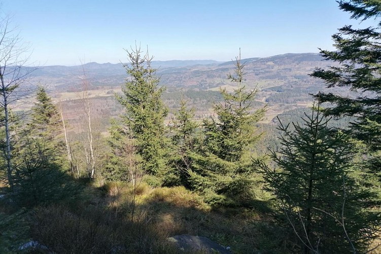 Wandern - Die Höhen von Steige und der Climont