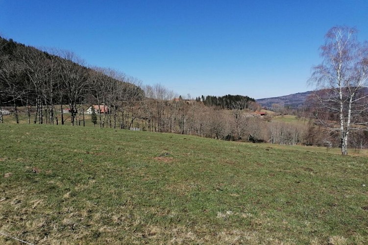 Hiking - The heights of Steige and the Climont