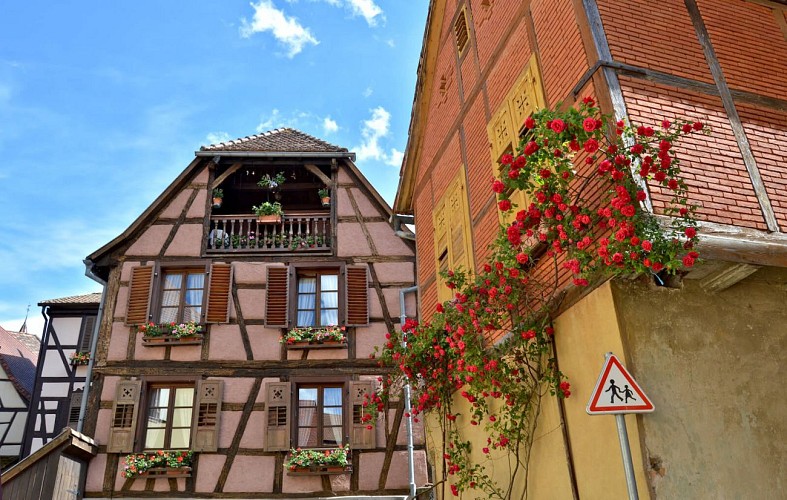 Hiking tour - from Kaysersberg to Ribeauvillé