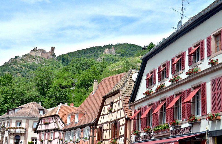 Hiking tour - from Kaysersberg to Ribeauvillé