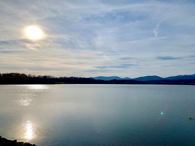 Le barrage de Michelbach - réserve ornithologique