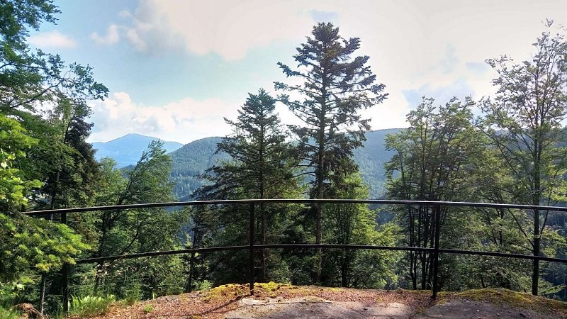 Mountain bike trail - Frankenbourg et roches