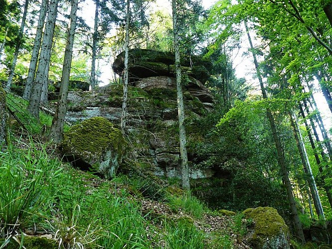 Wandern - Felsenrundweg