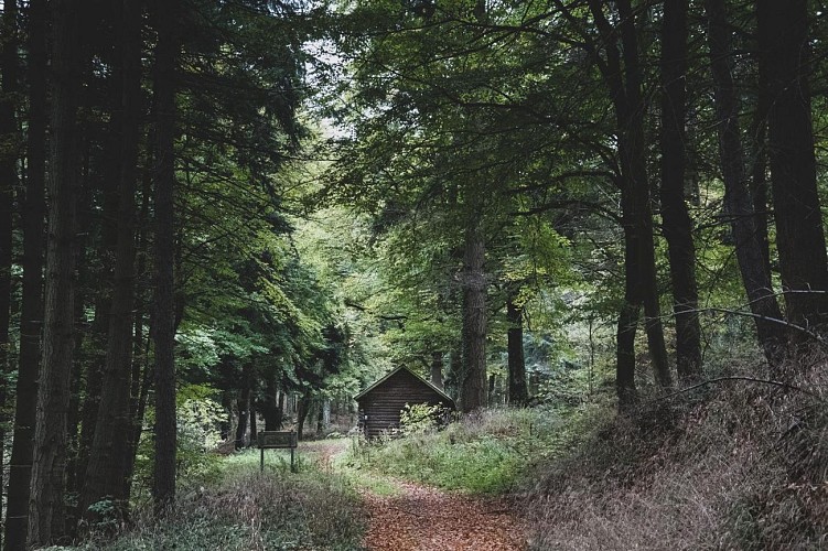 Wandern - Felsenrundweg