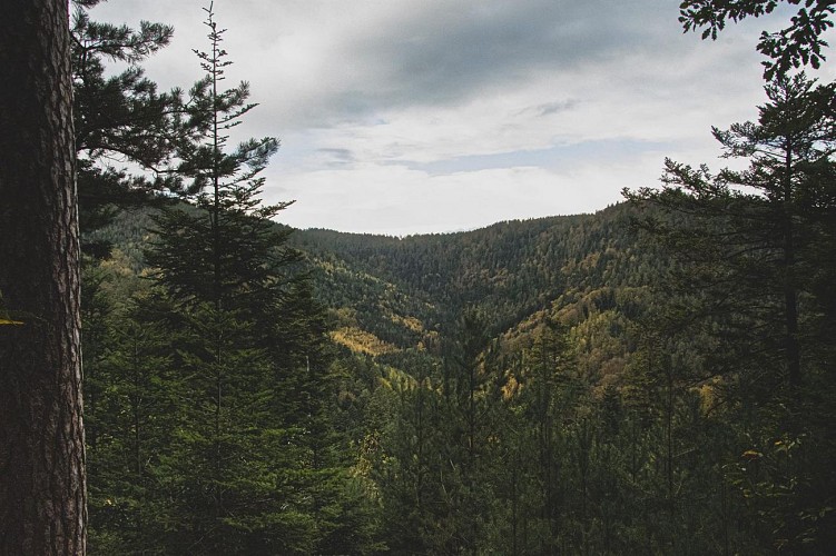 Wandern - Felsenrundweg