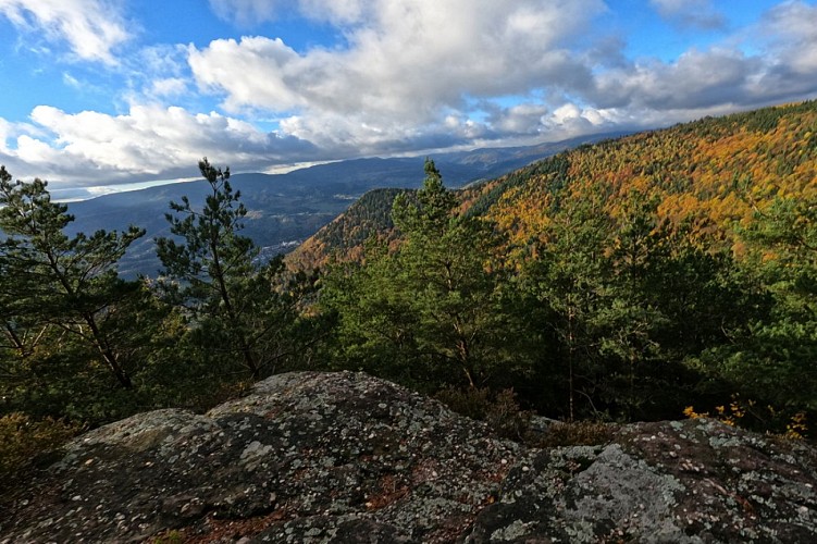 Hiking - The Rocks Trail