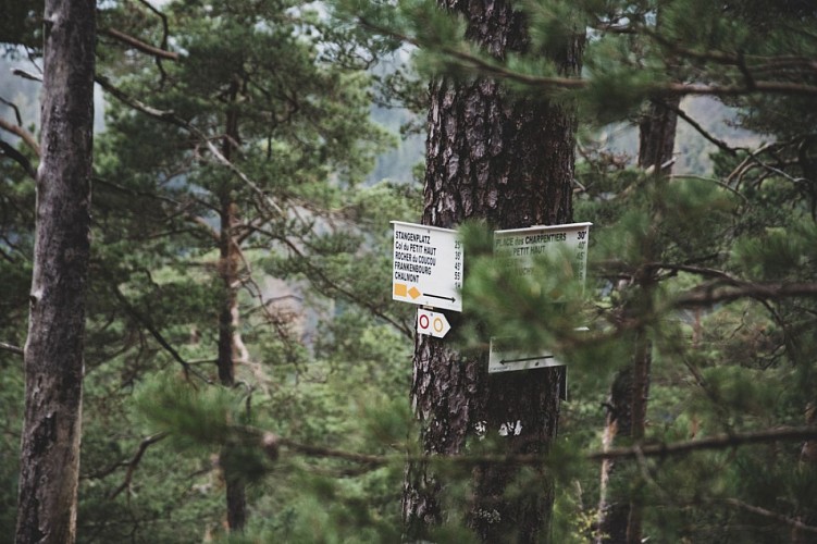 Randonnée - Circuit des roches