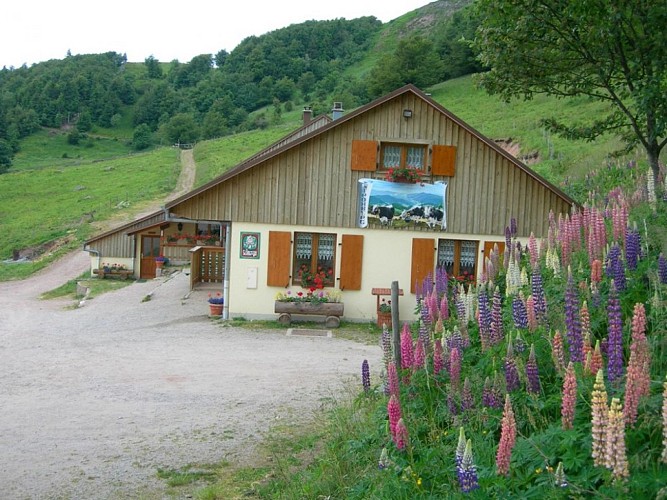 Balade ferme-auberge Strohberg : d'une vallée à l'autre