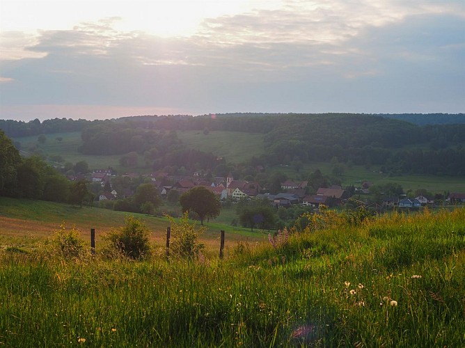 Randonnée pédestre: Bendorf  la grotte du Dr Herrings et le Kastelberg