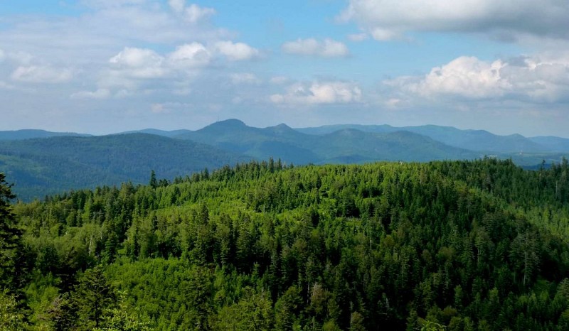 Hiking trail B15: From the Rocher de Mutzig to the two Donons