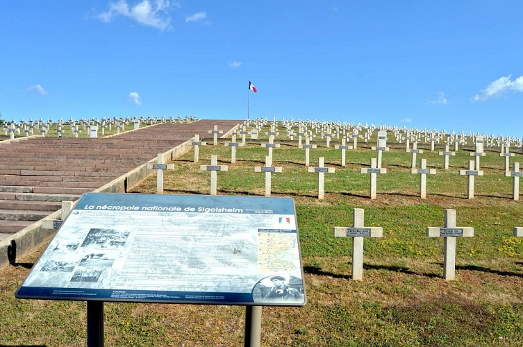 Hiking tour - The necropolis in Sigolsheim