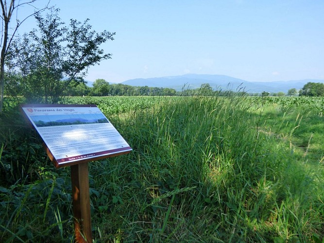 Rundweg für Kinderwägen in Raedersheim