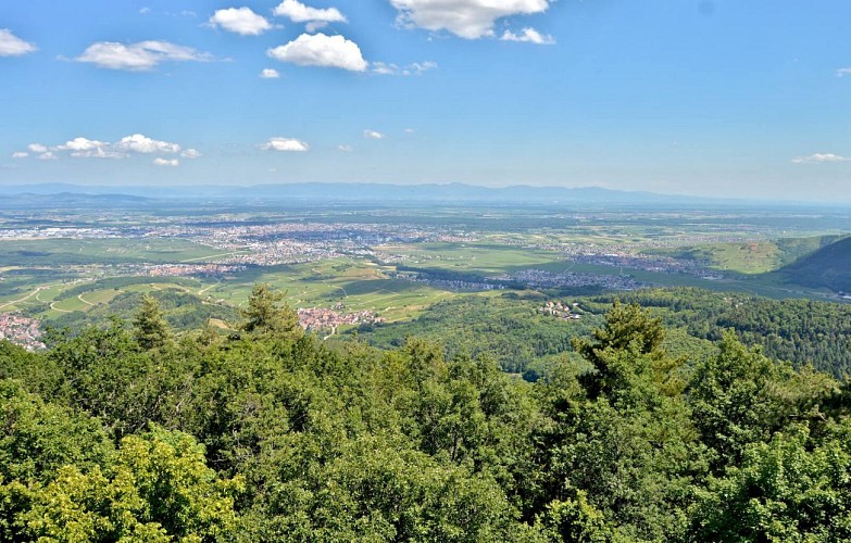 Etappenwandern - Die große Tour durch das Tal - Etappe 1
