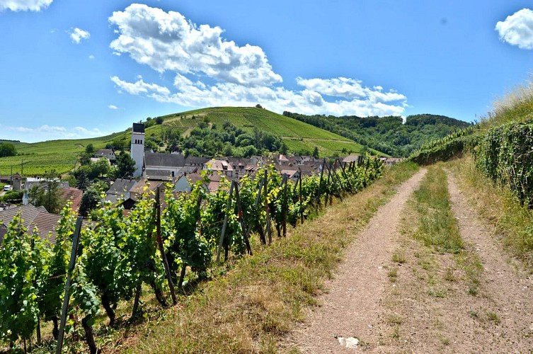 Etappenwandern - Die große Tour durch das Tal - Etappe 1