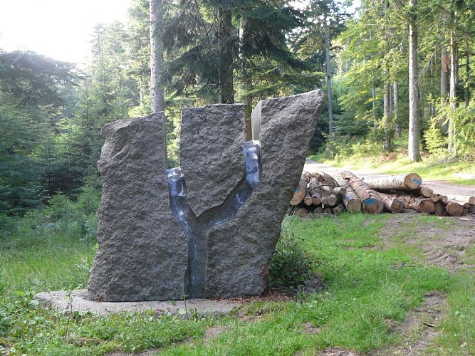Rundwanderung B03 : Skulpturen Pfad - In situ 1