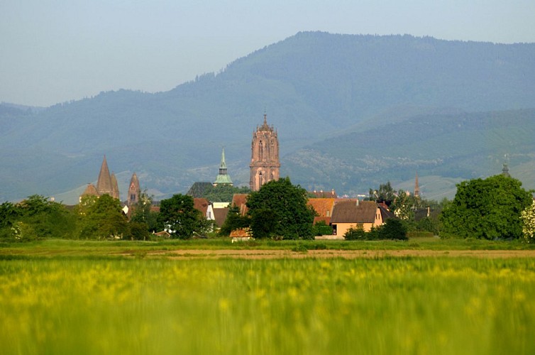 Villé - Elzach (DE)