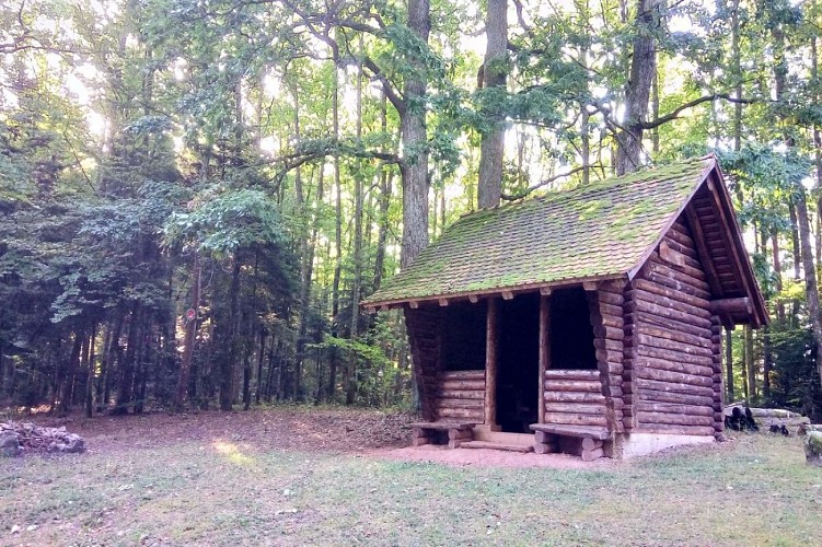 Mountainbike Runde - 3 cols