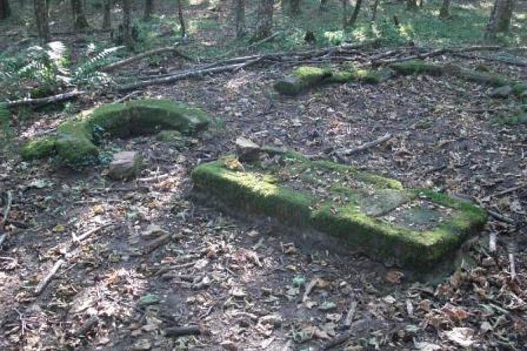 Saint-Hippolyte et le château du Haut-Koenigsbourg (St-Hippolyte Landenberg)