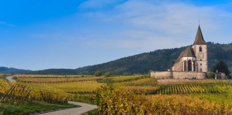 Ribeauvillé-Riquewihr entre forêt et vignoble