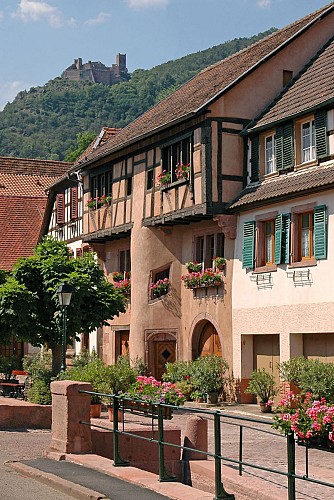 Ribeauvillé-Riquewihr entre forêt et vignoble