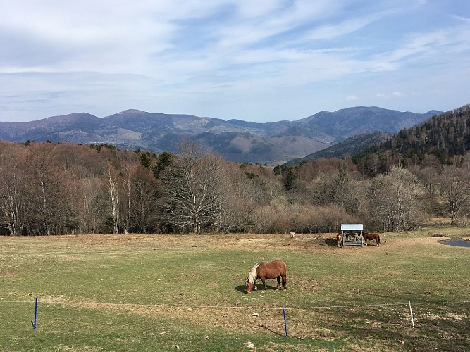 Circuit VTT n°22 : Belacker et du Gsang