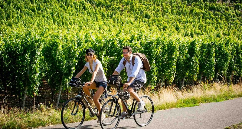 Le paysage à bicyclette
