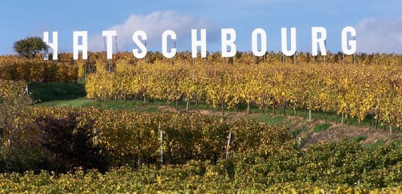 Le paysage à bicyclette