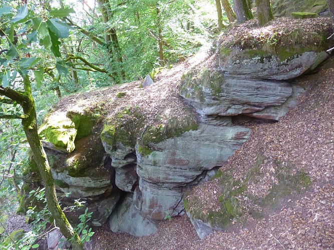 Au Buckelstein, un impressionnant rocher surplombe la ville d'Oberbronn